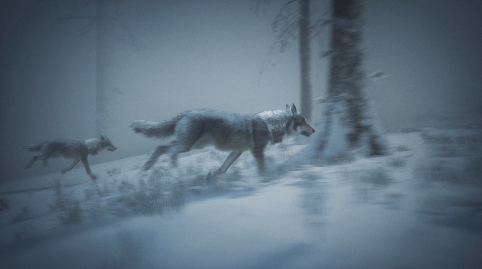 Alpha, image 8