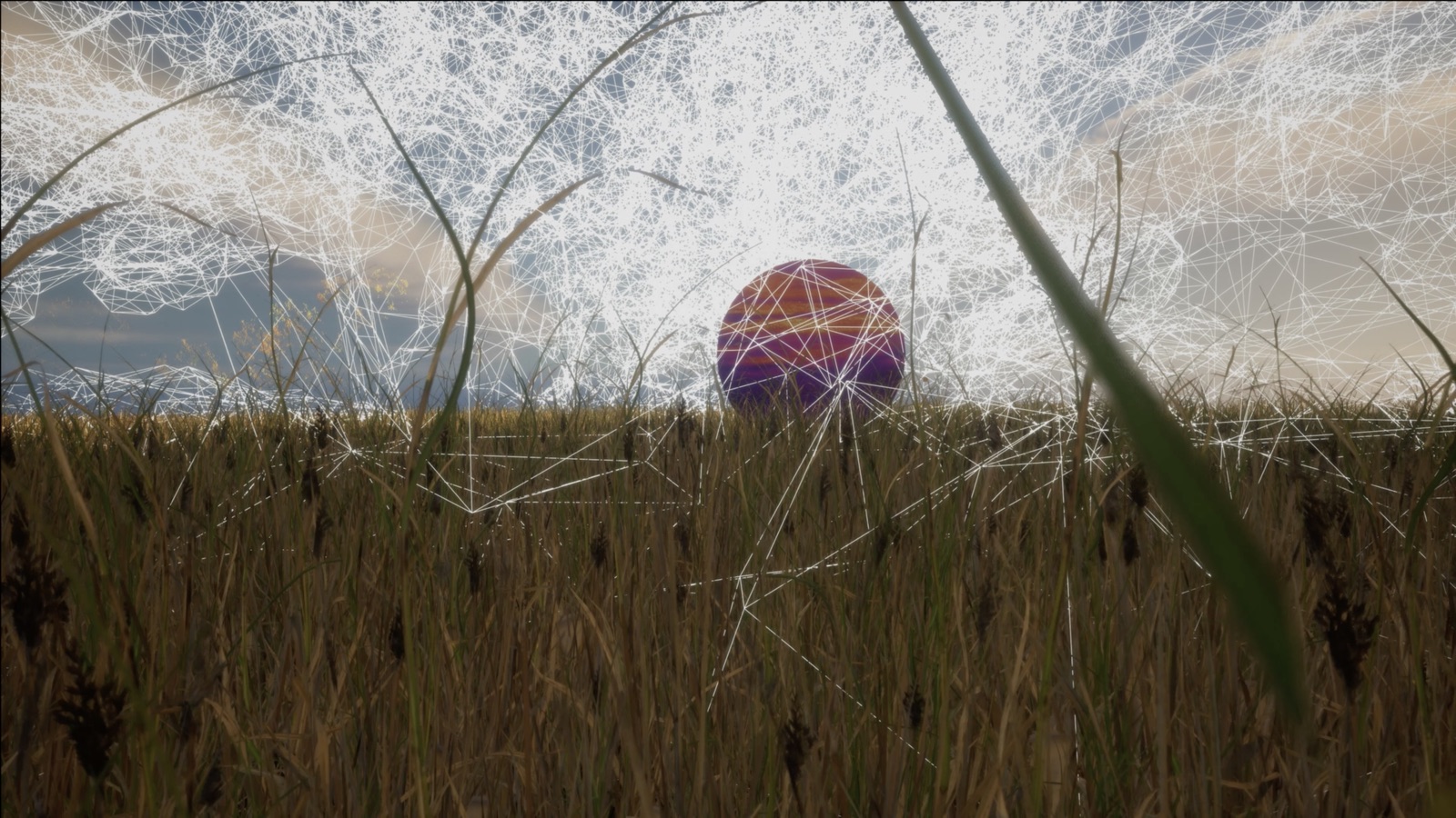 Arles Monde, image 5