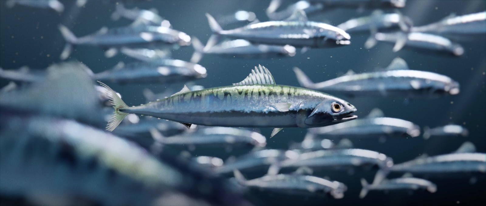 Fishlike, image 1