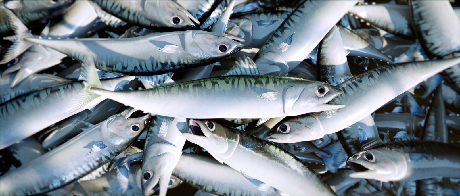 Fishlike, image 2