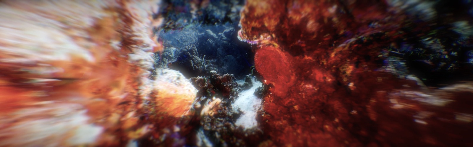 One Billion — Nomada, image 2