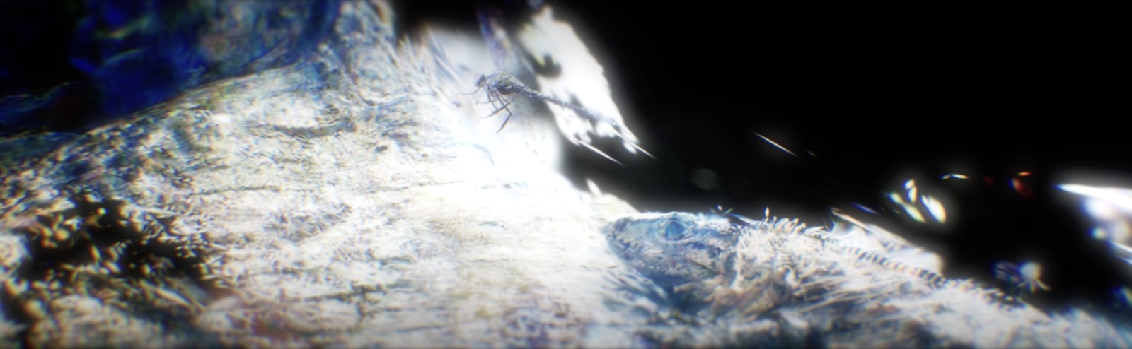 One Billion — Nomada, image 3