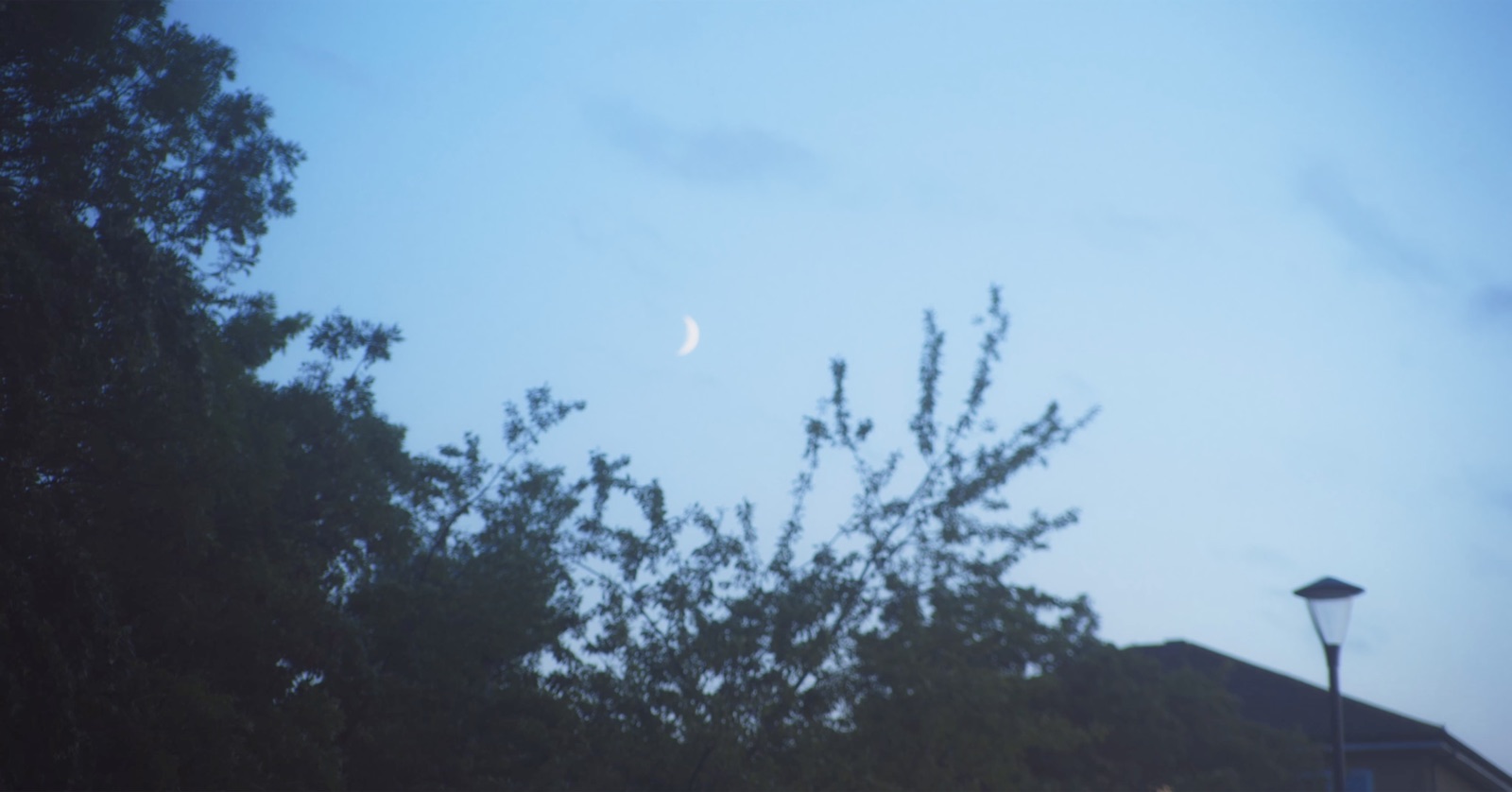 Stepney Green Park, image 37
