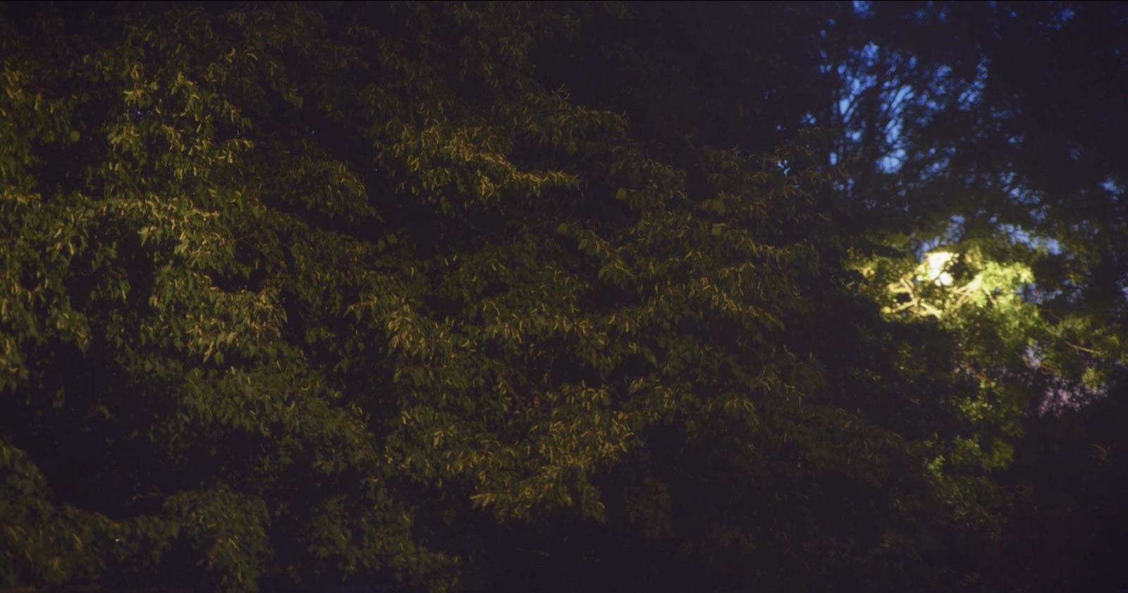 Stepney Green Park, image 41