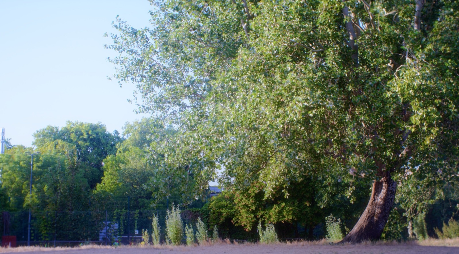 Stepney Green Park, image 21